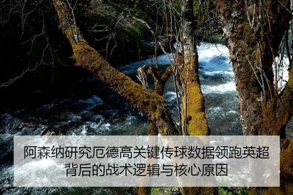 阿森纳研究厄德高关键传球数据领跑英超背后的战术逻辑与核心原因