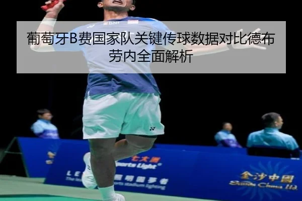 葡萄牙B费国家队关键传球数据对比德布劳内全面解析