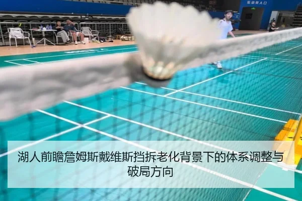 湖人前瞻詹姆斯戴维斯挡拆老化背景下的体系调整与破局方向