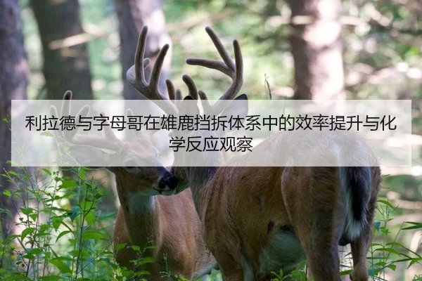 利拉德与字母哥在雄鹿挡拆体系中的效率提升与化学反应观察