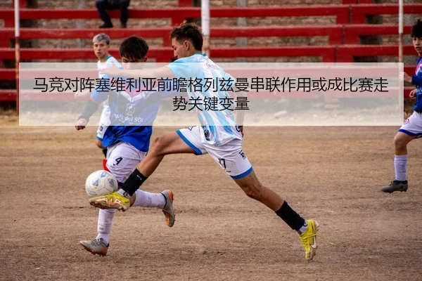 img_1783351769165_590_1_990.jpg